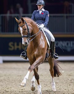 Brittany Fraser and All In at the 2016 CDN Toronto Royal Winter Fair :: Photo © Ben Radvanyi
