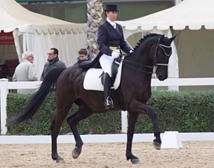 Brigitte van der Hagen and Sir Barnaby at the 2016 CDI Valencia