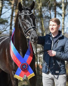 David Taylor with Zodiakus, the 2016 Oldenburg Saddle Licensing Champion :: Photo © Kiki Beelitz