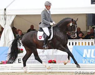 Wolfhard Witte and Emilio at the 2016 Hanoverian Young Horse Championships in Verden :: Photo © LL-foto