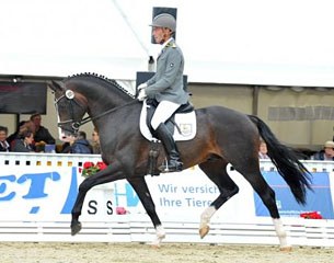 Emilio Sanchez at the 2016 Hanoverian Young Horse Championships in Verden