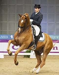 Severo Jurado Lopez and Lorenzo at the 2016 CDI Vestfold :: Photo © Mia Amundsen