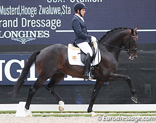 Severo Jurado Lopez and Franklin at the 2016 World Young Horse Championships :: Photo © Astrid Appels