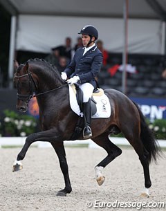 Severo Jurado Lopes on Franklin (by Ampere x Ferro). The dark bay stallion is very powerful and bouncy, but paddles heavily and is too round in trot and canter. He also had a sour expression and did not seem to enjoy the job