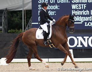 Katrine Kraglund on the very talented and gifted mover Bohemian (by Bordeaux x Samarant) who was very naughty and parked himself a couple of times in the corner at H and refused to go. Pity!