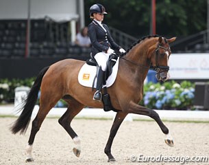 Straight from winning the 2016 European Young Riders Championships, Jeanine Nieuwenhuis competed Great Lady TC in Ermelo. The bay is very strong mover with clear FEI potential but the contact with the bit was below par