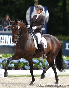 Anne Sophie Serre on the purebred Lusitano Actuelle de Massa (by Pastor)