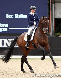 Mirelle van Kemenade on Ferdinand (by Vivaldi x Havidoff). What a horse ! Uphill in trot and canter in every single stride. He still leans too much on the rider and there were too many issues in the test to score higher