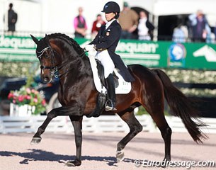 Allison Brock and Rosevelt at the 2016 CDI Wellington :: Photo © Astrid Appels