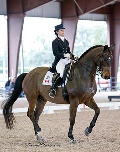 Belinda Trussell and Anton win the 2016 CDI-W Wellington Grand Prix :: Photo © Sue Stickle