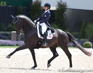 Kasey Perry-Glass was riding a strong Grand Prix test (although the horse had the nose behind the vertical) but when they lost the canter on the centreline, they missed the left pirouette and the score plummeted. Pity.