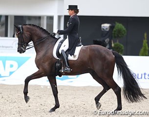 Dorothee Schneider on the young Sammy Davis Jr. The San Remo is still quite green, not truly carrying himself behind in passage, but he is soft and elastic in the contact and the piaffe is coming along well