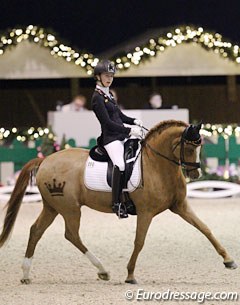 Julia Barbian and her beautifully clipped Der Kleine Konig. This little king was quite cheeky and spooky from the decorations