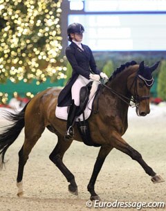 Look who's back after a three year break from competition: Torricelli. Previously owned and ridden by Lotje Schoots, now under Aimee Meddens