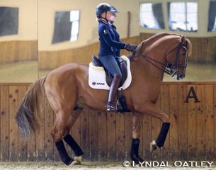 Sofie Lexner and Tobajo Pik Disney training at Patrik Kittel's in Germany :: Photo © L. Oatley