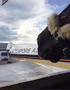 Dejavu MH having boarded the cargo plane that flew him from Auckland to the U.K, a 50-hour trip of travel and transit time