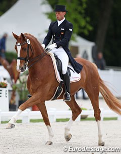 Equestricons Lagerfeld K at the 2017 CDIO Compiegne :: Photo © Astrid Appels