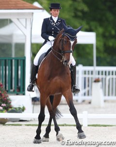 Françoise Hologne-Joux and Françoise Niclau's now 17-year old Hanoverian Warhol (by Warkant x Saint Cloud) has been one of the most consistently top scoring small tour horses in Europe. 