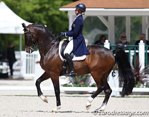 Belgian Laurence Roos and Fil Rouge (by Stedinger) are improving show after show and becoming a very reliable 70% + scoring pair in the Grand Prix ring