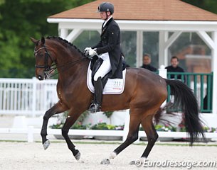 Diederik van Silfhout and Scenario at the 2017 CDIO Compiegne :: Photo © Astrid Appels