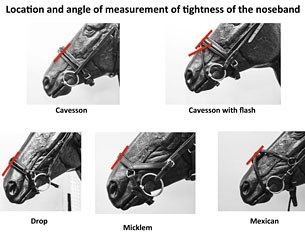 Noseband tightness to be checked at Danish competitions as of 2018