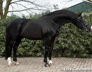 Negro (by Ferro x Variant) :: Photo © Dirk Caremans