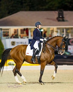 Diane Creech and Chrevi's Christo at the 2017 CDI-W Devon :: Photo © Sue Stickle