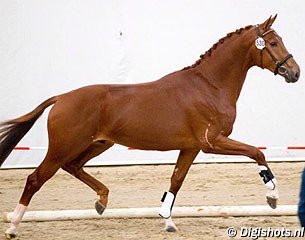 Kokototo (by Toto Jr x Jazz x Roemer) at the pre-selection :: Photo © Leanjo De Koster