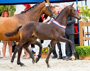 Metallic (by Franklin x Davino VOD) :: Photo © Digishots