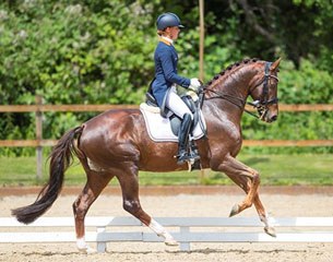 Adelinde Cornelissen and Fleau de Baian at the 2017 CDN Etten-Leur :: Photo © Digishots