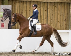 Lucinda Elliott on MSJ Fame, a 4-year old mare by Furst Heinrich out of FBW Dejavu