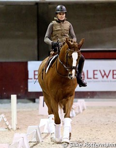 Barbara Minecci on Stuart, an 8-year old Oldenburg by Sir Donnerhall x Diamond Hit