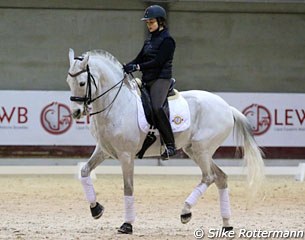 Clarisse Verboomen on Tamino, a 17-year old Lusitano by Gazoso