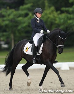 Egg Land's Ithalo at the 2017 CDIO-P Hagen :: Photo © Astrid Appels