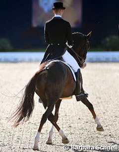 Daniel Bachmann Andersen and Blue Hors stud's Don Olymbrio