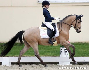 Lucie-Anouk Baumgurtel and Massimiliano at the 2017 Preis der Besten qualifier in Hagen :: Photo © Pony Royal
