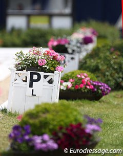 Beautiful spring flowers at the Hagen main dressage arena