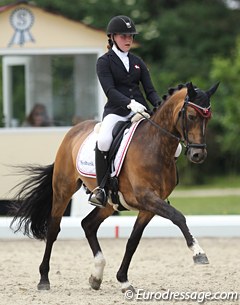 Strandgaard Challenger at the 2017 CDIO-P Hagen :: Photo © Astrid Appels