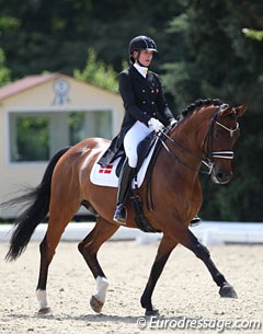 Amanda Overgaard on Sky Newz Horsebo
