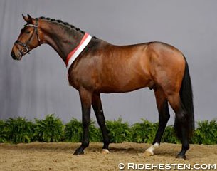 Frontline (by Furstenball x Zack) :: Photo © Ridehesten