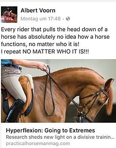 Dutch Olympic silver medal winning show jumping Albert Voorn speaks out against LDR/rollkur/hyperflexion
