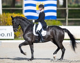 Malin Nilsson and Bon-Ami at the 2017 CDI Nieuw en St. Joosland :: Photo © Digishots