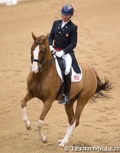 Steffen Peters and Bailarino