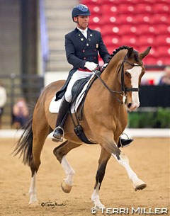 Steffen Peters on Wizard