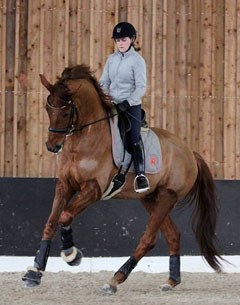 Virginie Gauthier and Dickens at the FFE Training Clinic with team coach Jan Bemelmans in Le Mans in February 2017