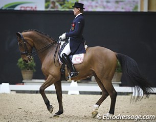 Emile Faurie's Bohemo Tinto (by De Noir x Diamond) made his international Grand Prix debut in Lier. Faurie bought the horse as a 5-year old and trained him from novice to Grand Prix