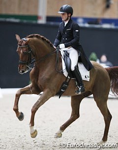 French François Jacq on the Danish warmblood Gorklintgaards Romaro (by Romanov x Don Schufro)