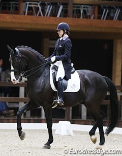 South African Nicole Smith on the Dutch bred Wyvern (by Rhodium x Juventus). The horse reared at the beginning of the ride so the submission score plummeted