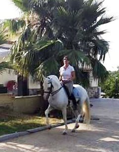 Classical Riding Reflection and Arte Ecuestre have joined in a new adventure by providing the ultimate Iberian experience in combining SICAB with working equitation.