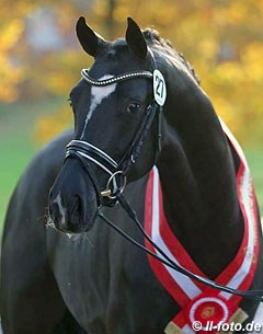 Fashion in Black (by For Romance x Lauries Crusador xx) :: Photo © LL-foto